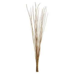 36-40” Ivory Caba Spines, 8 oz Bundle, Dried